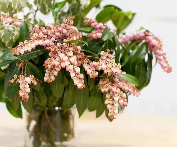 Appartement Unamuno By Living Bilbao