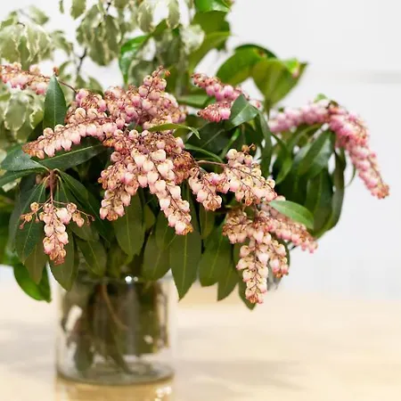 Apartament Unamuno By Living Bilbao